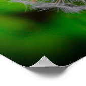 Dandelion, Poster (Ecke)