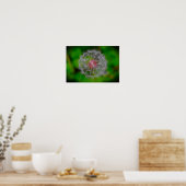 Dandelion, Poster (Küche)