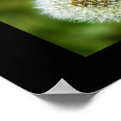 Dandelion Poster - Einige sehen ein Unkraut, sehe  (Ecke)