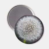 Dandelion Puff Magnet (Vorderseite/Rückseite)