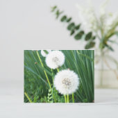 Dandelion Puff Postkarte (Stehend Vorderseite)