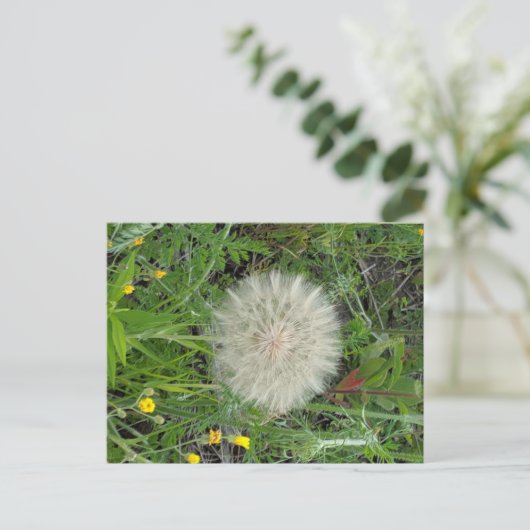Dandelion Puff Postkarte (Stehend Vorderseite)