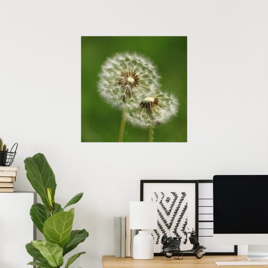 Dandelion Puff Print Poster (Heimbüro)