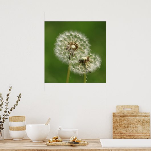 Dandelion Puff Print Poster (Küche)