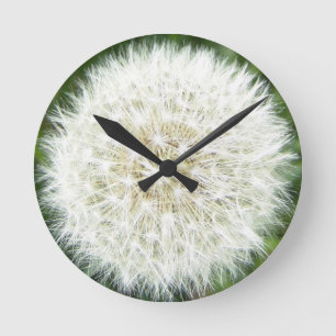 Dandelion Puff Runde Wanduhr