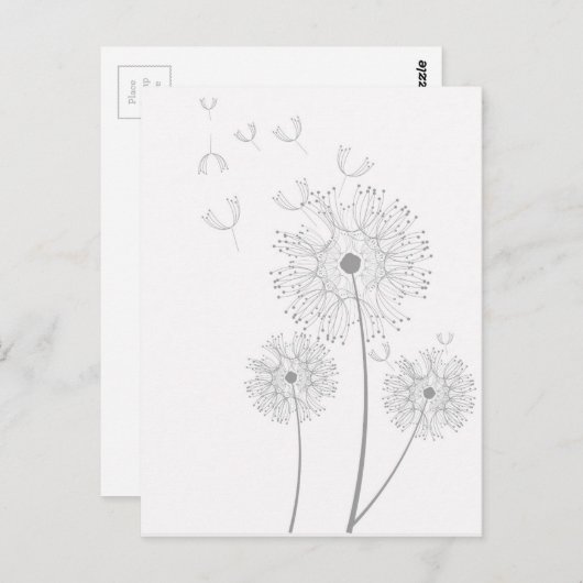 Dandelion purer moderner Blume Postkarte (Vorne/Hinten)