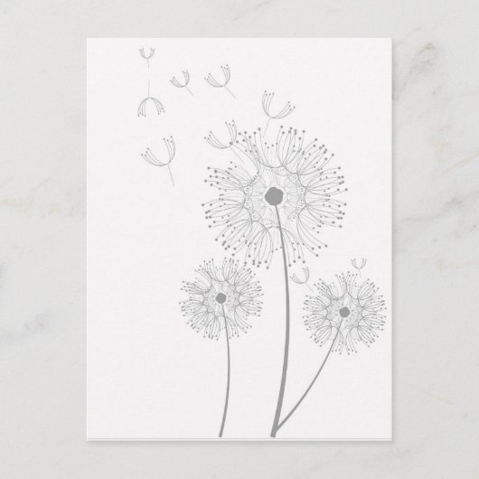 Dandelion purer moderner Blume Postkarte (Vorderseite)