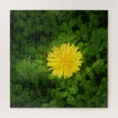 Dandelion Puzzle (Horizontal)