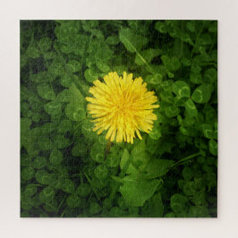 Dandelion Puzzle