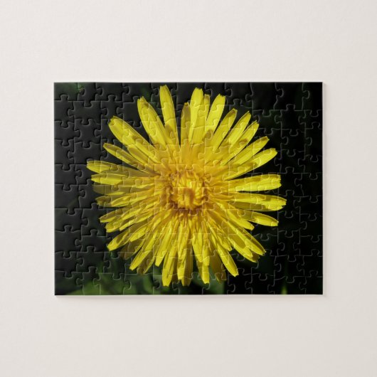 Dandelion Puzzle (Horizontal)