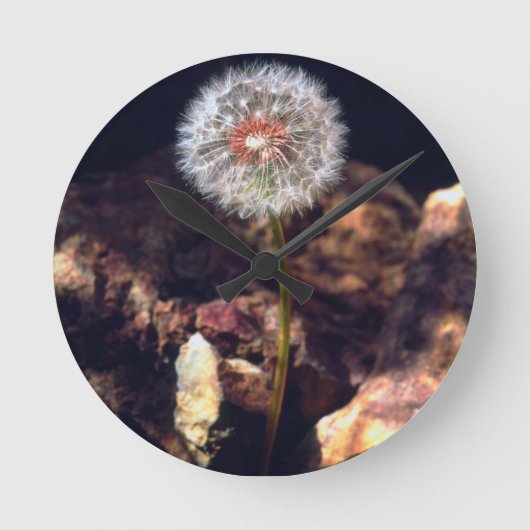 Dandelion Runde Wanduhr (Vorderseite)
