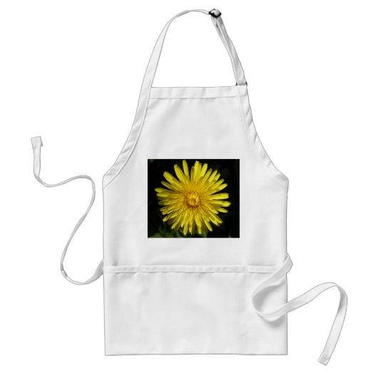 Dandelion-Schürze Schürze (Vorne)
