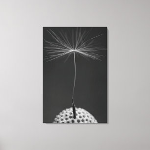 Dandelion Seed Foto auf Leinwand