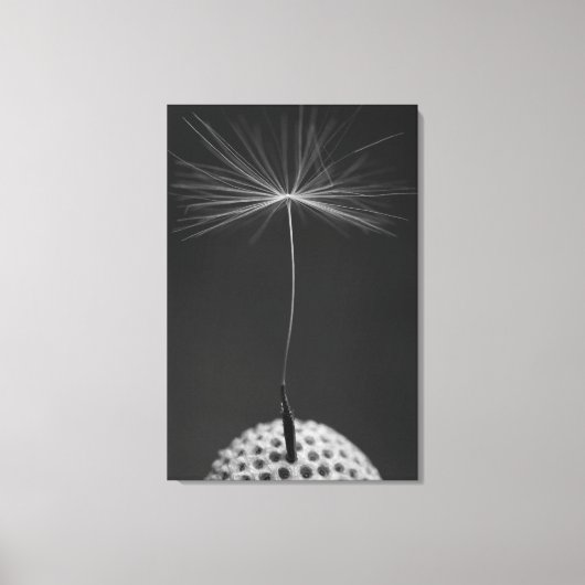 Dandelion Seed Foto auf Leinwand (Vorderseite)