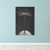 Dandelion Seed Foto auf Leinwand (Insitu (Holzboden))