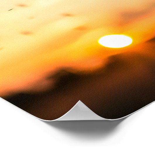 Dandelion seed head blowing poster (Ecke)