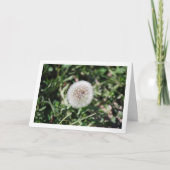 Dandelion Seed Head Blume Karte (Vorderseite)