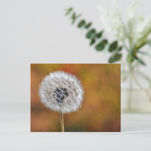 Dandelion Seed Postkarte (Stehend Vorderseite)