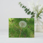 Dandelion Seed 'Puff' Postcard Postkarte (Stehend Vorderseite)