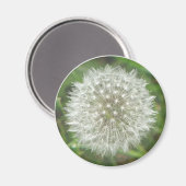 Dandelion Seedhead Magnet (Vorderseite/Rückseite)