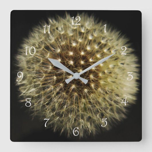 Dandelion Seedhead White Script Numbers wc Quadratische Wanduhr (Vorderseite)
