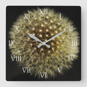Dandelion Seedhead White Script Roman wccn Quadratische Wanduhr