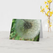 Dandelion Seeds Karte (Gelbe Blume)