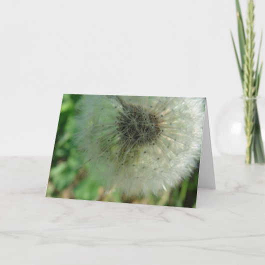 Dandelion Seeds Karte (Vorderseite)