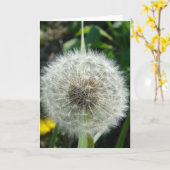 Dandelion Seeds Karte (Gelbe Blume)