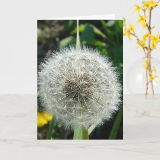 Dandelion Seeds Karte (Gelbe Blume)