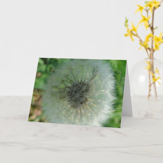 Dandelion Seeds Karte (Gelbe Blume)