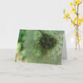 Dandelion Seeds Karte (Gelbe Blume)