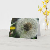 Dandelion Seeds Karte (Gelbe Blume)