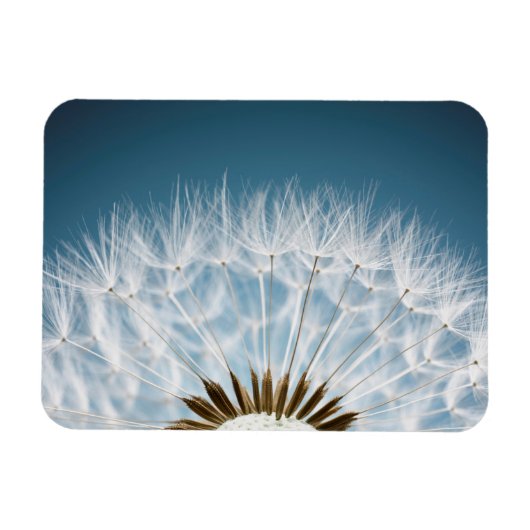 Dandelion Seeds Magnet (Horizontal)