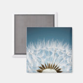 Dandelion Seeds Magnet (Vorderseite/Rückseite)