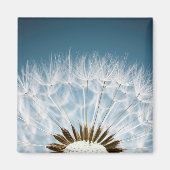 Dandelion Seeds Magnet (Vorne)