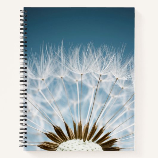 Dandelion Seeds Notizblock (Vorderseite)