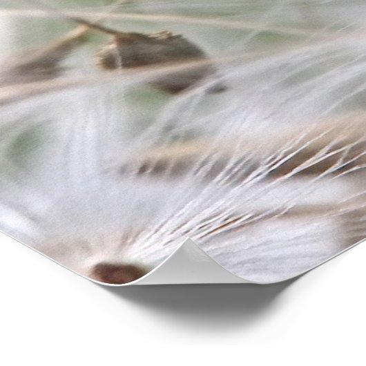 Dandelion Seeds Poster (Ecke)