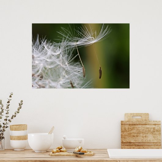 Dandelion Seeds Poster (Küche)