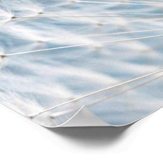 Dandelion Seeds Poster (Ecke)