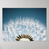 Dandelion Seeds Poster (Vorne)