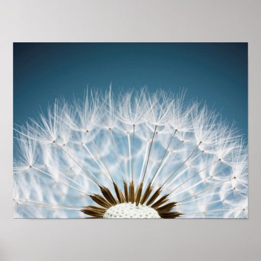 Dandelion Seeds Poster (Vorne)