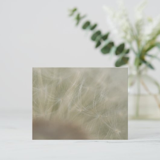 Dandelion Seeds Postkarte (Stehend Vorderseite)