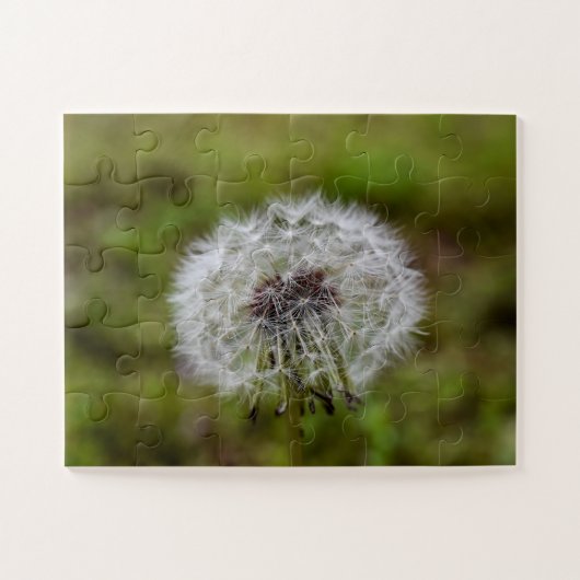 Dandelion Seeds Puzzle (Horizontal)