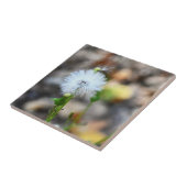 Dandelion Seeds Tile Fliese (Seite)