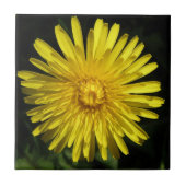 Dandelion Tile Fliese (Vorderseite)