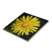 Dandelion Tile Fliese (Seite)