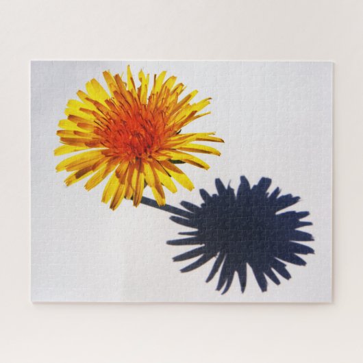 Dandelion und Shadow 16x20 520pc jpcna Puzzle (Horizontal)