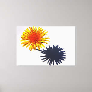 Dandelion und Shadow 60x40 (150x100cm) waccn Leinwanddruck