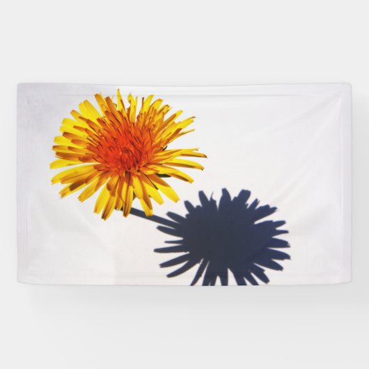 Dandelion und Shadow Banner (Horizontal)